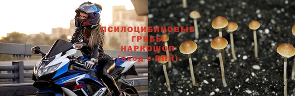 соль ск Медногорск