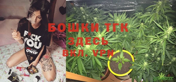 ешки Алексеевка