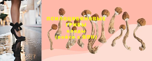 ешки Алексеевка