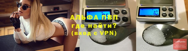 шишки Мегион