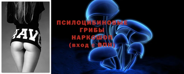 ешки Алексеевка