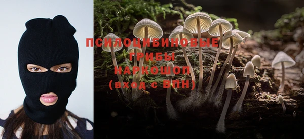 a pvp Алексин
