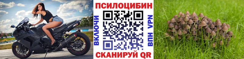 купить наркотики сайты kraken ссылки Псилоцибиновые грибы Magic Shrooms Махачкала