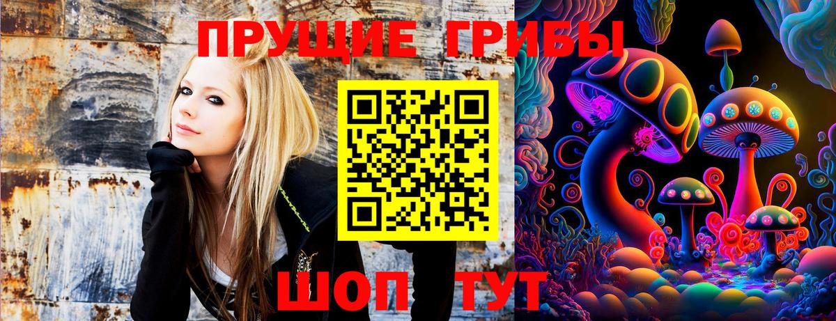 Махачкала  Псилоцибиновые грибы GOLDEN TEACHER  Вход с VPN 