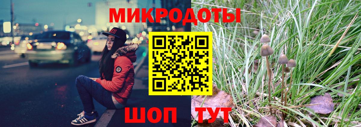 Псилоцибиновые грибы GOLDEN TEACHER Махачкала